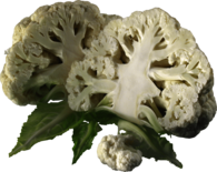 Cauliflower Slices
