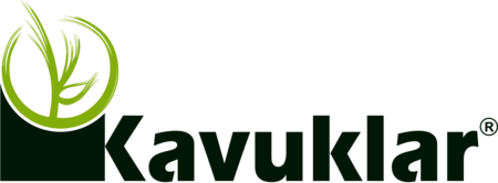 Kavuklar
