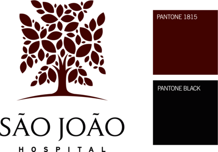 Hospital de São João