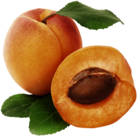 Apricot Duo Open