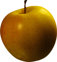 Apple Cameo Yellow Large