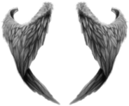 Fantasy Angel Wings