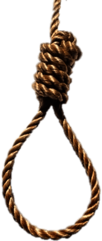 Noose