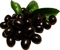Black Olives Group