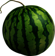 Large Isolated Watermelon
