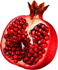 Open Single Pomegranate