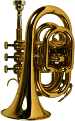 Trumpet Large