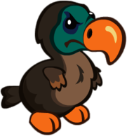 Dodo Wild Ones
