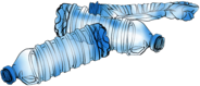 Crushed Water Bottles