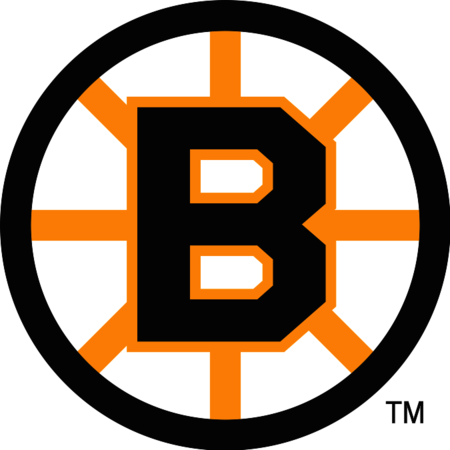 Boston Bruins