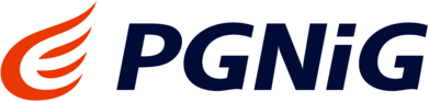 Pgnig S.A.