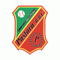 LOS GIGANTES DEL CIBAO