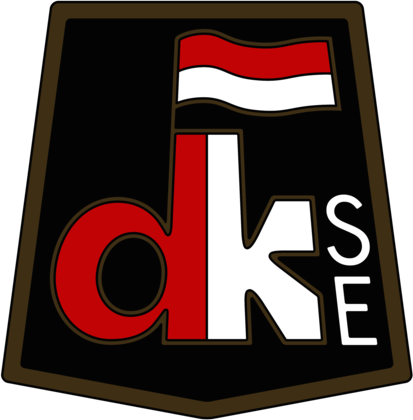 Dunaujvarosi Kohasz SE