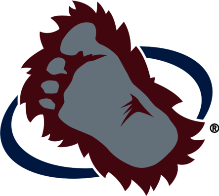 Colorado Avalanche