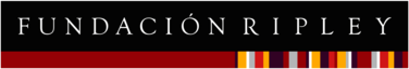 Fundación Ripley