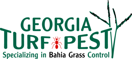 Georgia Turf Pest