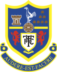 Tottenham Hotspur Unisex's 3 Crest Magnet 