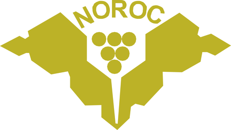 Noroc Moldova
