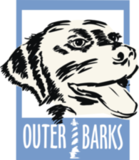 Outer Barks