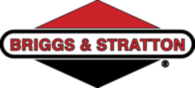 Briggs Stratton 2