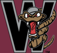 Wisconsin Timber Rattlers