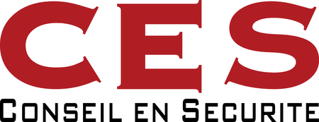 Conseil En Securite