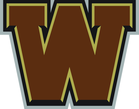 Western Michigan Broncos