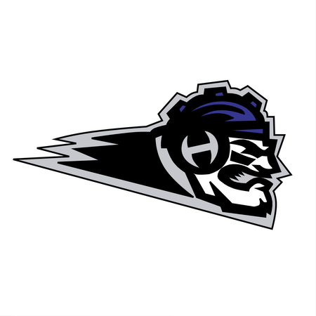 New York New Jersey Hitmen