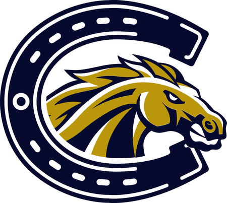 Casteel Colts