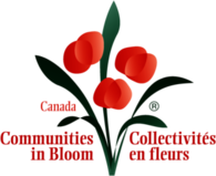 Communities in Bloom