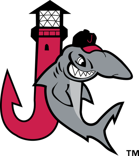 Jupiter Hammerheads
