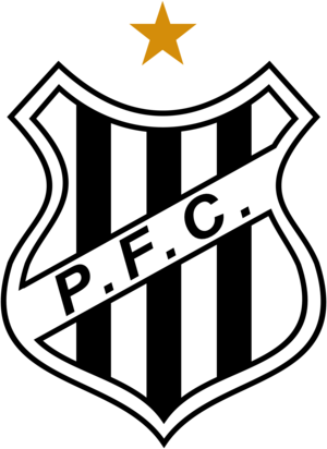 Palmeiras Futebol Clube de Sao Joao da Boa Vista SP