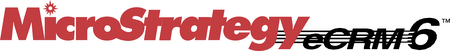 MicroStrategy eCRM