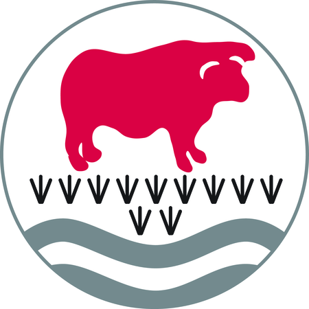 The Bulmershe School