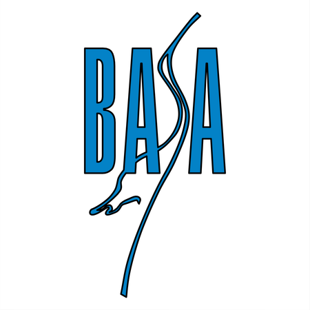Basa Press