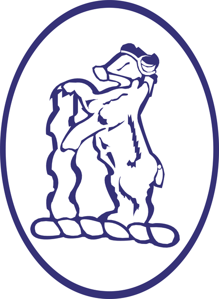 Warwickshire Bears