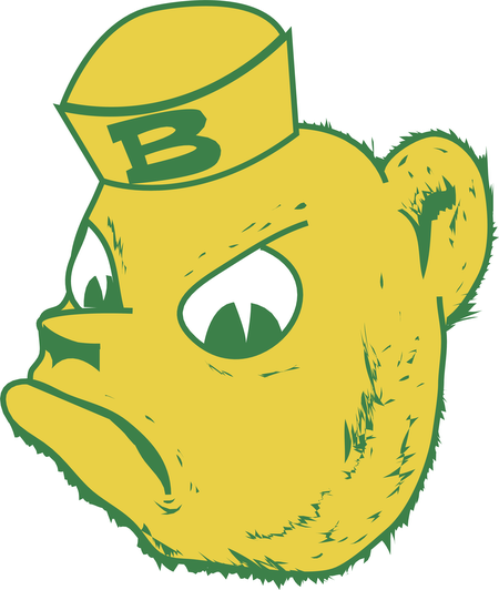 Baylor Bears 75995
