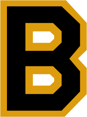 Boston Bruins
