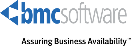 BMC Software 32299