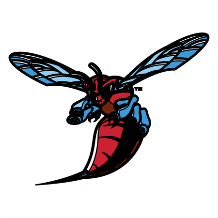 Delaware State Hornets