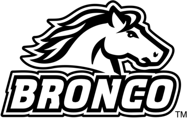 Bronco