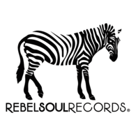 Rebel Soul Music