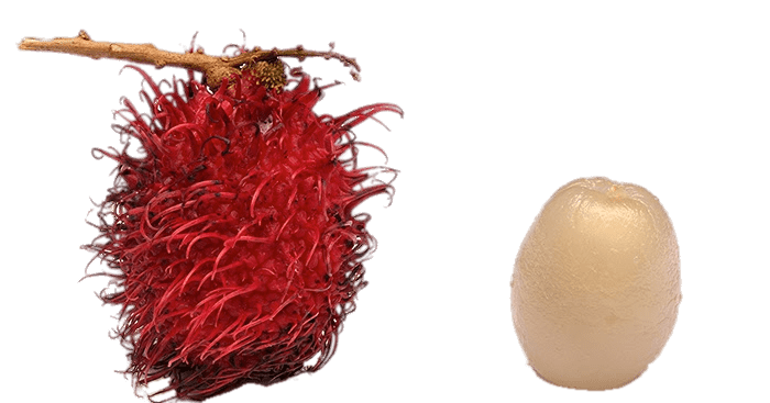 Peeled Rambutan
