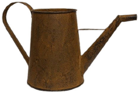Rustic Watering Can