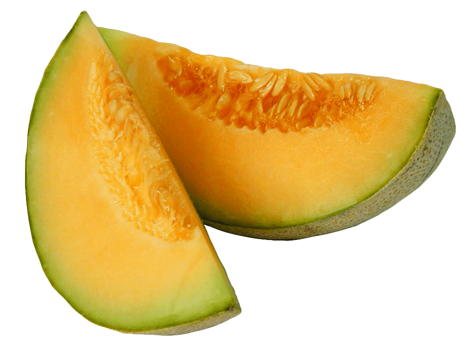 Melon Slices