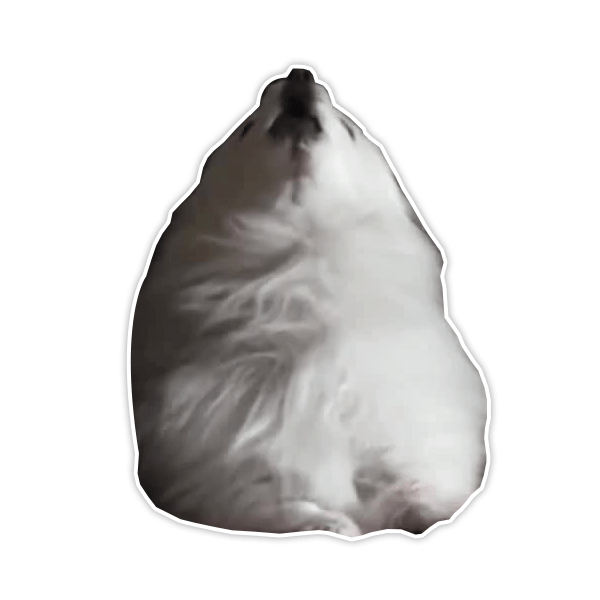 Gabe the Dog Howling