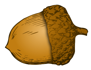 Illustration Acorn