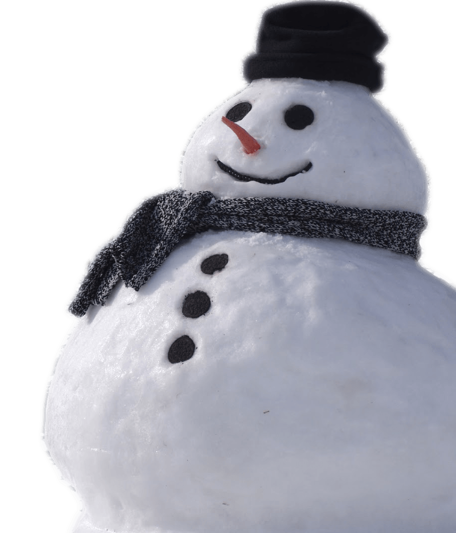 Snowman Real
