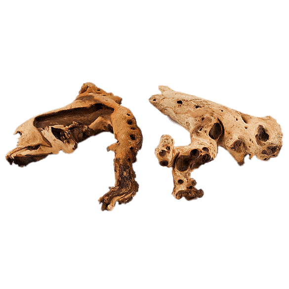 Driftwood For Aquarium