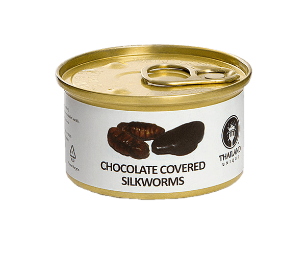 Chocolate Covered Silkworms